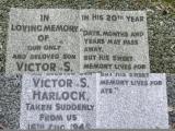 image of grave number 206426